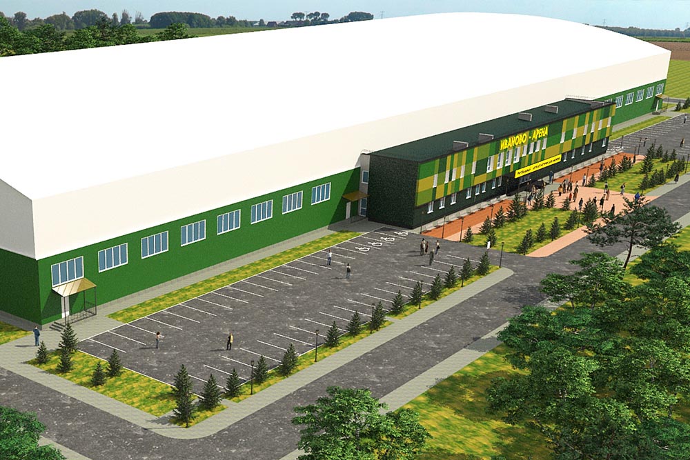 Проект ледового дворца